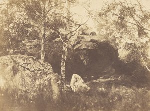 Fontainebleau door Charles Marville